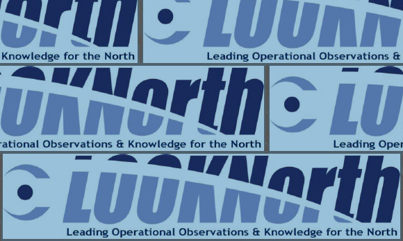 Looknorth logo