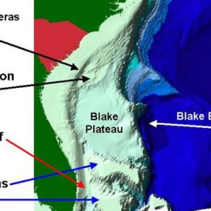 NOAA Bathyometry Blake Escarpment