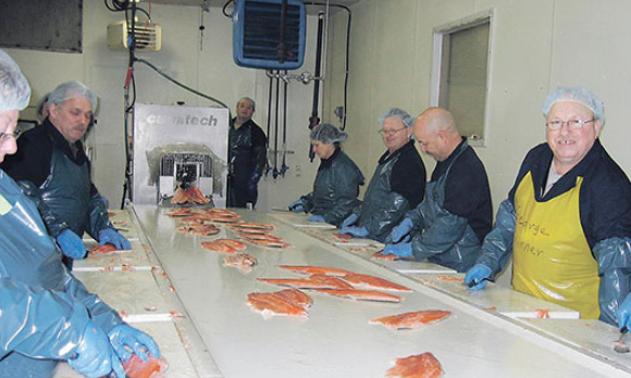 processing salmon